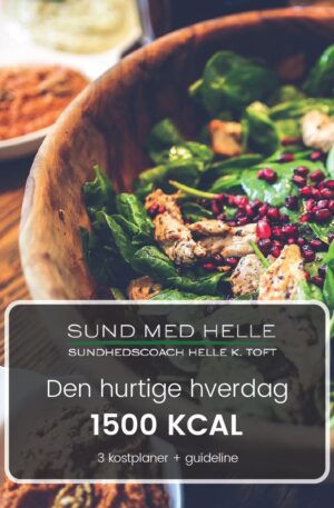 Den hurtige hverdag 1500kcal kostplaner